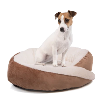 Ein kleiner, weiß-brauner Hund sitzt auf einem plüschigen, runden Hundebett mit einem weichen, cremefarbenen Innenraum und einem braunen Außenbereich.