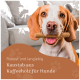 Ein glücklicher Beagle hält einen Kaffeeknochen mit dem Text: "Robust und langlebig Kaustab aus Kaffeeholz für Hunde."