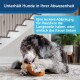 Ein flauschiger Hund kaut auf einem Spielzeug auf einem gemusterten Teppich mit einer Treppe im Hintergrund. Text: "Unterhält Hunde in Ihrer Abwesenheit."