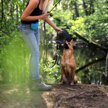 Eine Frau in einem schwarzen Tanktop und einer blauen Hüfttasche hält eine Hundeleine, steht neben einem sitzenden braunen Hund in einem grünen Wald.