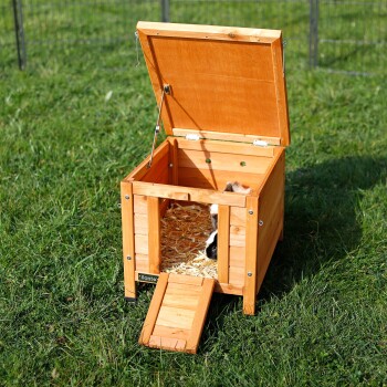 Holzhaus für Meerschweinchen mit offenem Deckel, ausgestattet mit einer Rampe und Stroh-Bettzeug im Inneren, auf grünem Gras platziert.