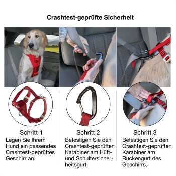 Golden Retriever in einem Auto mit einem rot geprüften Sicherheitsgeschirr. Schritte zur Sicherung sind aufgeführt. Text: "Crashtest-geprüfte Sicherheit."