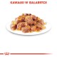 Ageing +12 w galaretce 12x85 g