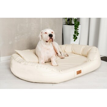 Orthopädisches Hundebett LENNART VISCO PLUS Kunstleder und Velours creme 1,4 m, 30 cm, 1,05 m