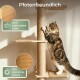 Getigerte Katze kratzt an einem mit Jute umwickelten Kratzbaum; sichtbare Texte: Pfotenfreundlich, Sanft abgerundete Kante, 100% natürliches Juteseil.