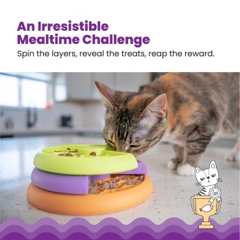 Kitty Lickin' Layers Intelligenzspielzeug
