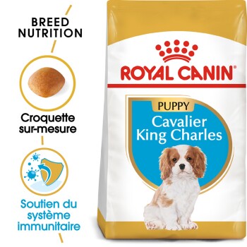 Cavalier King Charles Puppy Chiot Royal Canin - Croquettes pour chien