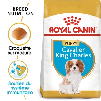Nourriture Royal Canin pour chiots Cavalier King Charles, avec une image de chiot, mettant en avant la nutrition de la race et le soutien du système immunitaire.