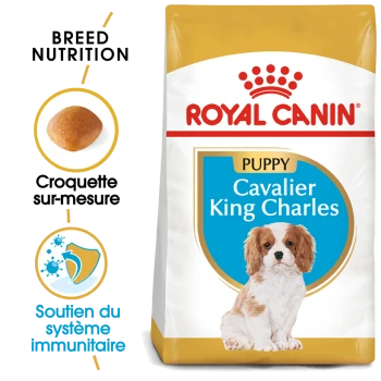 Nourriture Royal Canin pour chiots Cavalier King Charles, avec une image de chiot, mettant en avant la nutrition de la race et le soutien du système immunitaire.