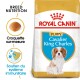 Nourriture Royal Canin pour chiots Cavalier King Charles, avec une image de chiot, mettant en avant la nutrition de la race et le soutien du système immunitaire.