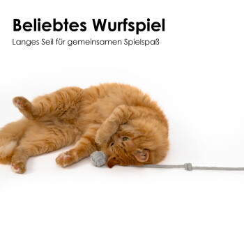 Eine verspielte orangefarbene Katze liegt auf dem Rücken mit einem grauen Spielball an einer langen Schnur, mit dem Text "Beliebtes Wurfspiel - Langes Seil."