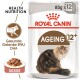 Verpackung von Royal Canin Ageing 12+ Katzenfutter mit einer Illustration einer flauschigen Katze, mit Text, der die gesundheitlichen Vorteile der Ernährung und EPA/DHA hervorhebt.