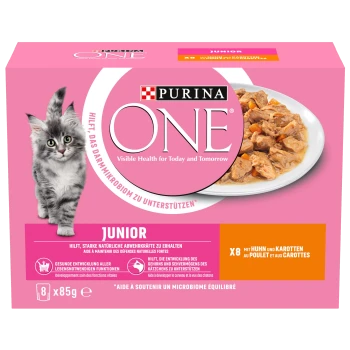 Verpackung von Purina ONE Junior Katzenfutter mit einem grauen Kätzchen und einer Schüssel mit Hähnchen und Karotten. Der Text hebt sichtbare Gesundheitsvorteile hervor.