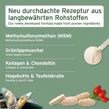 Grünes Infofeld zeigt Inhaltsstoffe eines Nahrungsergänzungsmittels für Haustiere auf Deutsch und Englisch, Löffel mit Pulver, Tabletten, Grünlippmuscheln und Hagebutten
