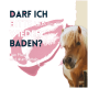 Eine Nahaufnahme eines Pferdes mit einer hellen Mähne vor einem rosa Hintergrund, mit dem Text "Darf ich bitte wieder baden? Dein Pferd wird drum betteln."