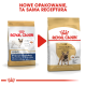 Obraz dwóch toreb z karmą dla psów Royal Canin dla buldogów francuskich, prezentujący nowy design opakowania z tekstem "NOWE OPAKOWANIE, TA SAMA RECEPTURA."