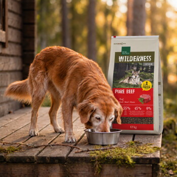 Chien senior doré mangeant dans un bol en métal à côté d'un sac de 12 kg étiqueté Wilderness Pure Beef (nourriture pour chiens). – Généré par IA
