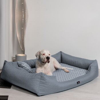 Weißer Hund liegt auf einem großen grauen und gemusterten Hundebett neben einer modernen Lampe und weißen Vorhängen.