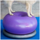 Ein Hund steht auf einer lila FitPAWS-Balance-Scheibe, mit seinen Vorderpfoten auf der Scheibe und einer grauen Basis darunter, vor einem blauen Matten.