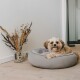 Ein gemütliches graues Hundebett mit einem flauschigen Hund, der darauf ruht, begleitet von einer dekorativen Vase mit getrockneten Blumen in der Nähe.