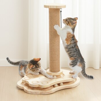 Zwei getigerte Kätzchen spielen an einem hölzernen Katzenkratzbaum mit Bällen und einem hängenden Spielzeug aus Schnur.