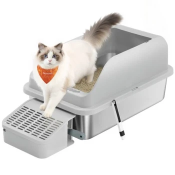 Weißer und grauer Kater mit blauen Augen und orangefarbener Bandana, der aus einer grauen, abgedeckten Katzentoilette mit angebrachtem Schaufel heraustritt.