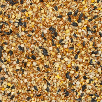 Nahaufnahme einer Mischung aus Vogelfutter mit verschiedenen Samen, darunter Sonnenblumenkerne, Hirse und kleine Körner, auf einer strukturierten Oberfläche.
