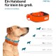 Eine Nahaufnahme eines Hundes mit einem orangefarbenen verstellbaren Halsband, mit einem Produktbild und einer Größentabelle, die XS bis L Maße zeigt.
