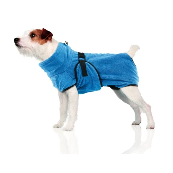 Un petit chien portant un manteau en polaire bleu vif avec des sangles noires, se tenant sur une surface réfléchissante, regardant vers le haut.