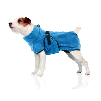 Ein kleiner Hund trägt einen leuchtend blauen Fleece-Mantel mit schwarzen Riemen, steht auf einer reflektierenden Oberfläche und schaut nach oben.