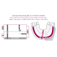 Diagramm einer Haustierdecke mit Größenangaben und Optionen. Text auf Deutsch warnt, die Größenkompatibilität für Fahrzeuge zu überprüfen.