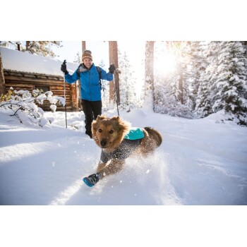 Ein Hund, der einen blauen Mantel und Stiefel trägt, läuft fröhlich durch tiefen Schnee, während eine Person in einer blauen Jacke mit Skistöcken in einem verschneiten Wald spaziert.