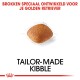 Hondenvoer speciaal ontworpen voor Golden Retrievers, met een enkel stuk brok met de tekst 'Tailor-Made Kibble' eronder.