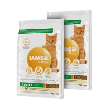Zwei 10-kg-Säcke IAMS Katzenfutter für erwachsene Katzen, mit einer orangefarbenen getigerten Katze und Text, der Ernährung und frisches Huhn hervorhebt.