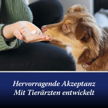 Brauner Hund schnüffelt an einem Tablet in der Hand einer Person; blaues Banner lautet 'Hervorragende Akzeptanz Mit Tierärzten entwickelt'.
