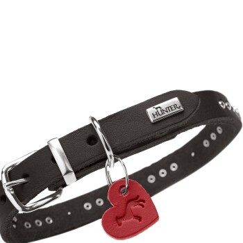 Schwarzes Lederhalsband mit silbernen Beschlägen und Metallplakette 'HUNTER', rotem herzförmigem Anhänger mit eingeprägter Hundesilhouette.