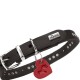 Schwarzes Lederhalsband mit silbernen Beschlägen und Metallplakette 'HUNTER', rotem herzförmigem Anhänger mit eingeprägter Hundesilhouette.