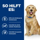 Golden Retriever mit blauem Halsband neben einem blauen Feld 'SO HILFT ES:' mit Angabe von Unterstützung für Gelenke, schlanke Muskulatur und das Immunsystem (Deutsch)