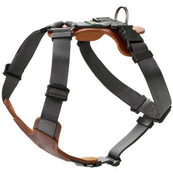 Ein graues Haustiergeschirr mit verstellbaren Riemen und einem Lederuntergrund, ausgestattet mit einem Metall-D-Ring zur Leinenbefestigung.