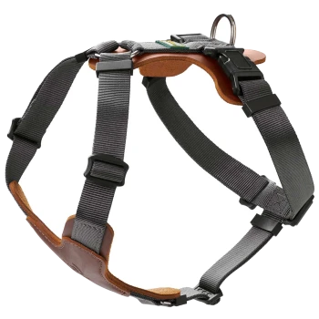 Ein graues Haustiergeschirr mit verstellbaren Riemen und einem Lederuntergrund, ausgestattet mit einem Metall-D-Ring zur Leinenbefestigung.