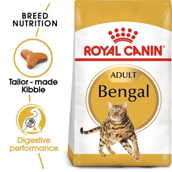 Royal Canin Bengal cat food bag with an illustration and text on "Breed Nutrition," "Tailor-made Kibble," and "Digestive performance."