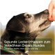 Ein schwarzer Hund mit grauen Abzeichen schaut auf eine Hand, die einen Leckerbissen anbietet. Text: "Gesunde Leckereien, um Ihren Hund zu verwöhnen."
