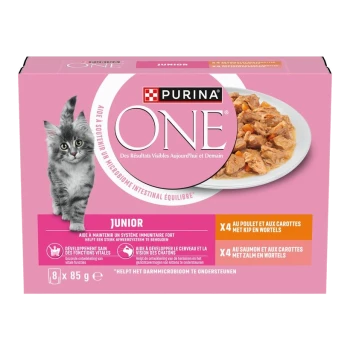 Roze Purina ONE Junior natvoerdoos voor kittens met kittensfoto, schaal met stukjes, zichtbare tekst 'PURINA ONE', 'JUNIOR', '8 x 85 g'