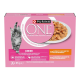 Roze Purina ONE Junior natvoerdoos voor kittens met kittensfoto, schaal met stukjes, zichtbare tekst 'PURINA ONE', 'JUNIOR', '8 x 85 g'