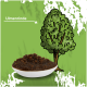 Schale mit dunklem, strukturiertem Hundefutter mit einer Baumillustration, die mit 'Ulmenrinde' auf einem grünen Hintergrund beschriftet ist.
