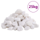 Ein Haufen glatter, weißer Dekorationssteine, mit "25kg" in einem lila Kreis beschriftet, geeignet für Haustierlebensräume oder Aquarien.