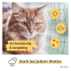 Nahaufnahme einer orangefarbenen Katze neben einem wetterfesten Netz mit Symbolen für Sonne, Regen und Schnee, deutscher Text über Haltbarkeit.