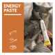 Zwei graue Katzen, die an einer Handtube mit der Aufschrift 'Energy Paste' schnüffeln; das orangefarbene linke Feld trägt die Aufschrift 'ENERGY PASTE'