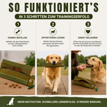 "SO FUNKTIONIERT'S – IN 3 SCHRITTEN ZUM TRAININGSERFOLG" Plakat: drei Panels zeigen einen gefüllten Leckerlidummy, einen Hund, der ihn holt, und den Besitzer, der den Hund belohnt