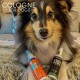 A fluffy dog sits on a soft surface, holding "Ancol Old Spike" and "Ancol K-9" dog cologne bottles with "COLOGNE FOR DOGS" above.
